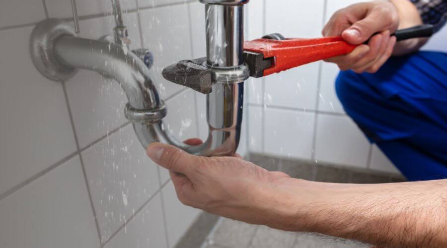 Leak Detection Services in Amistad, NM